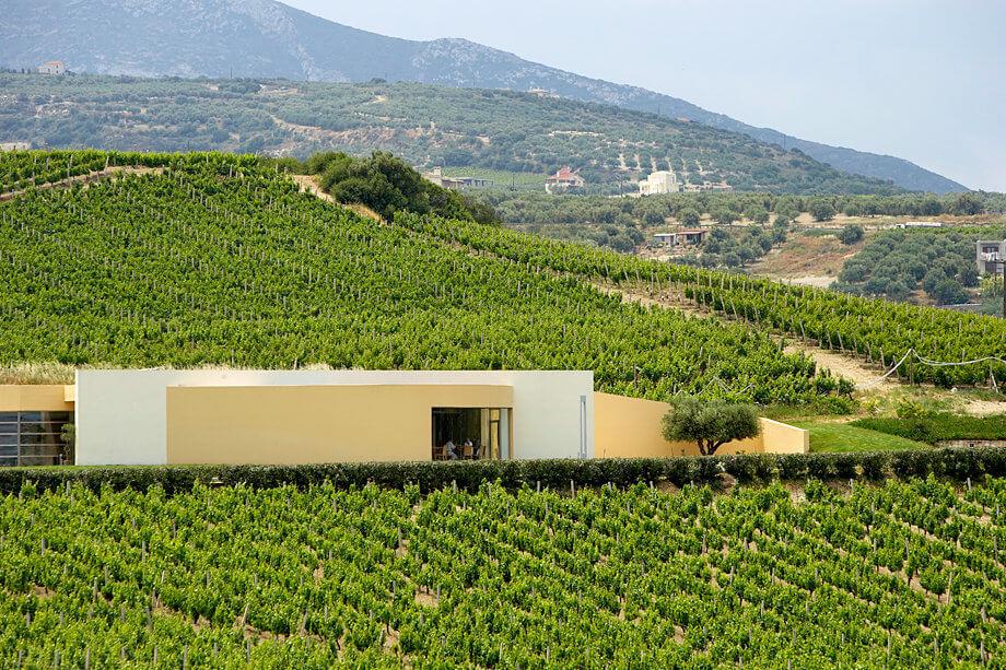 Туры в Scalani Hills Boutari Winery & Residences