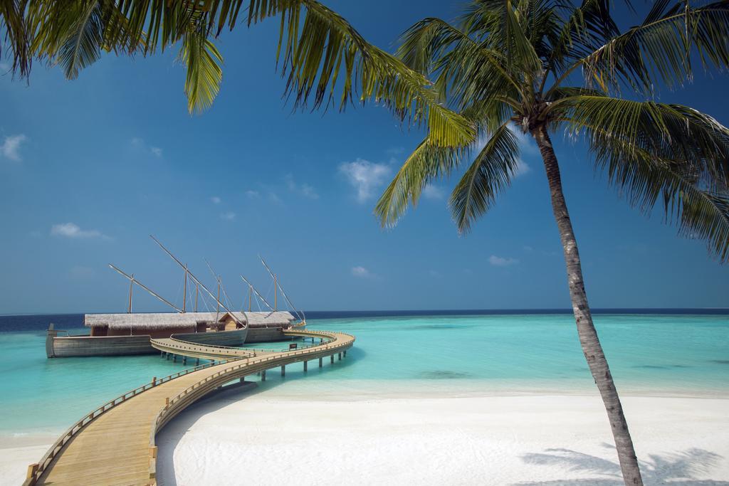 Туры в Milaidhoo Island Maldives