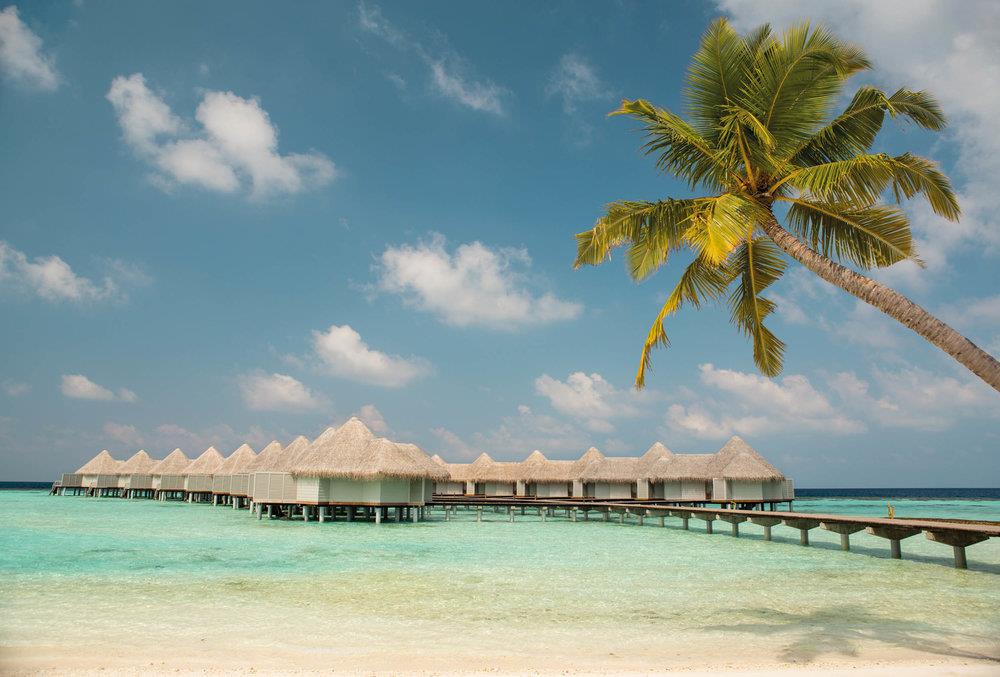 Туры в Drift Thelu Veliga Retreat Maldives