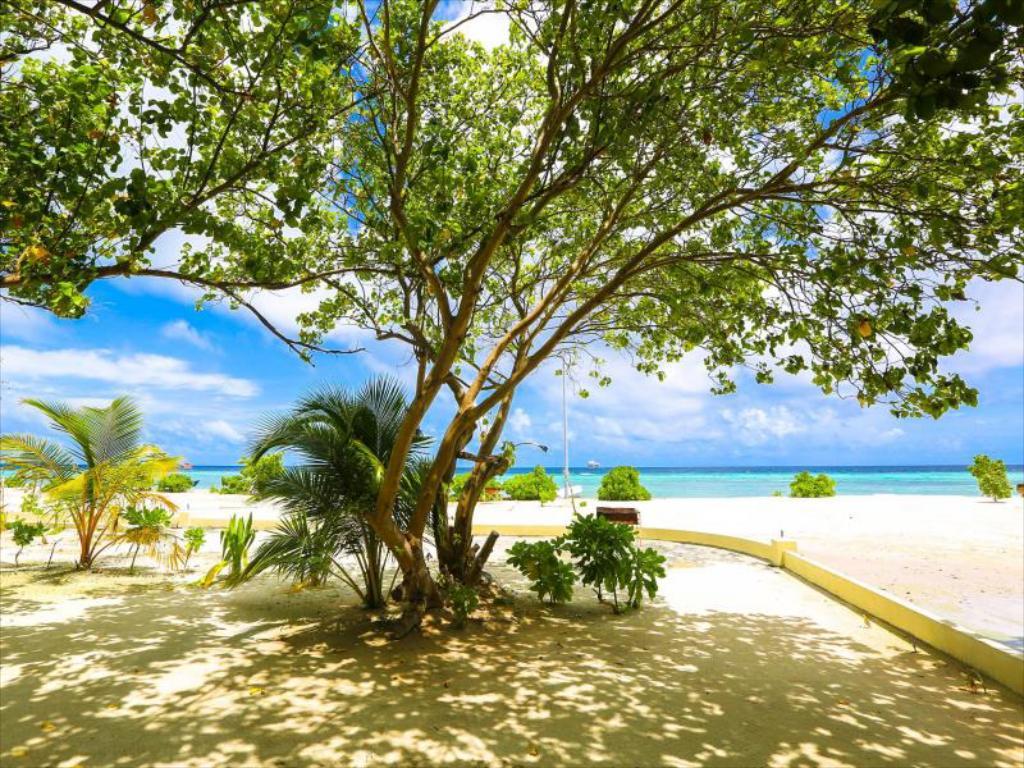 Туры в Holiday Lodge Maldives