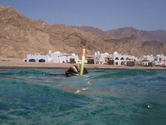 Туры в Daniela Village Dahab