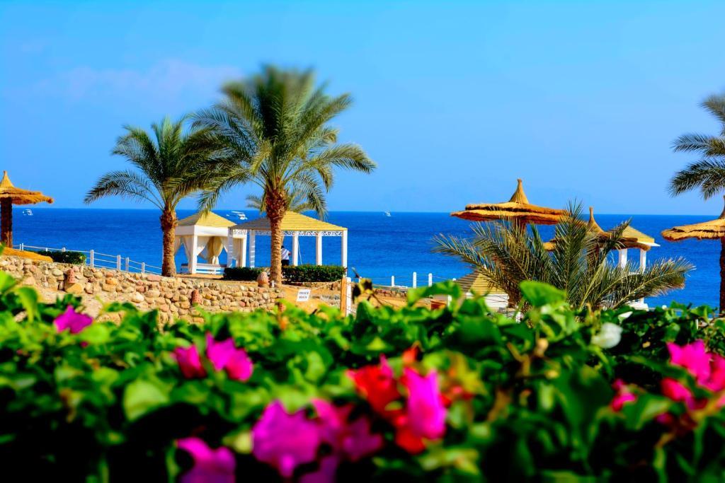 Туры в Royal Monte Carlo Sharm El Sheikh