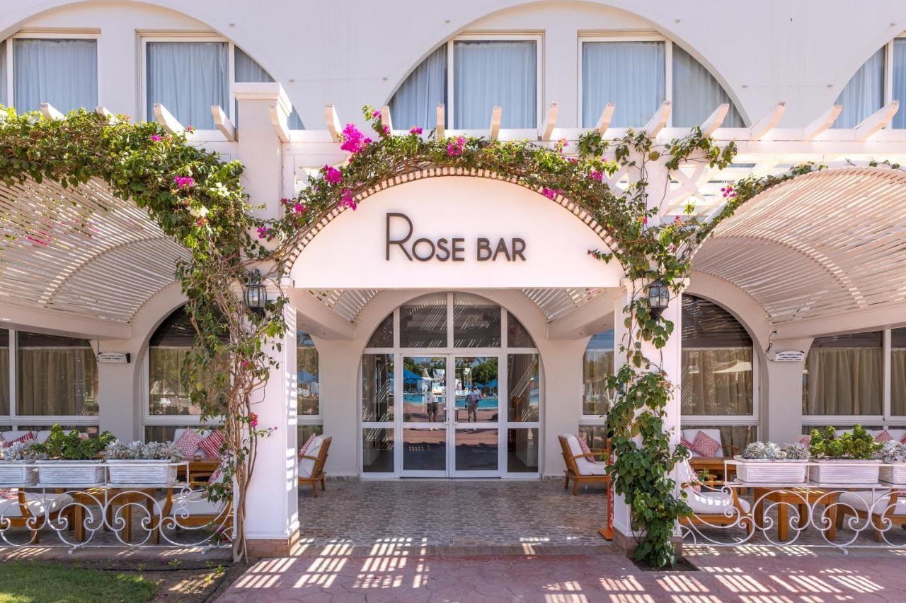 Туры в Desert Rose Resort