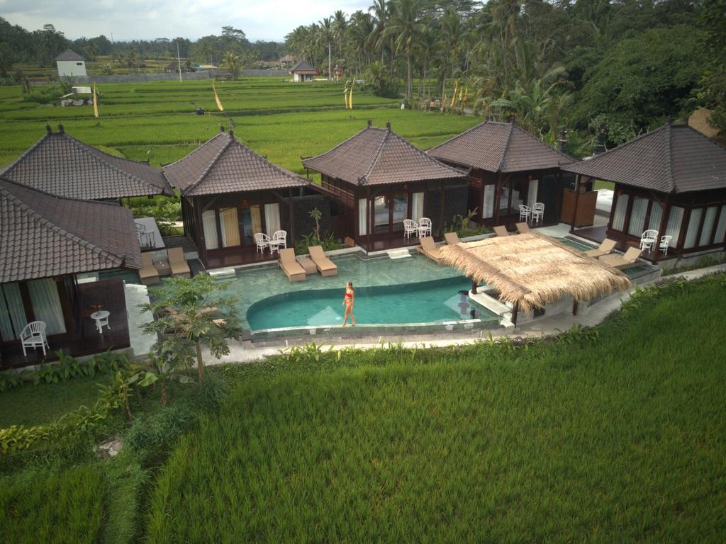Туры в Kayangan Villa Ubud DHM Resort