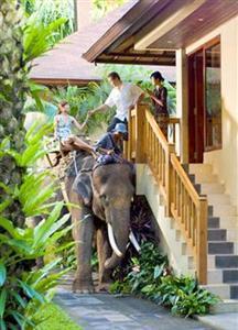 Туры в Elephant Safari Park Lodge
