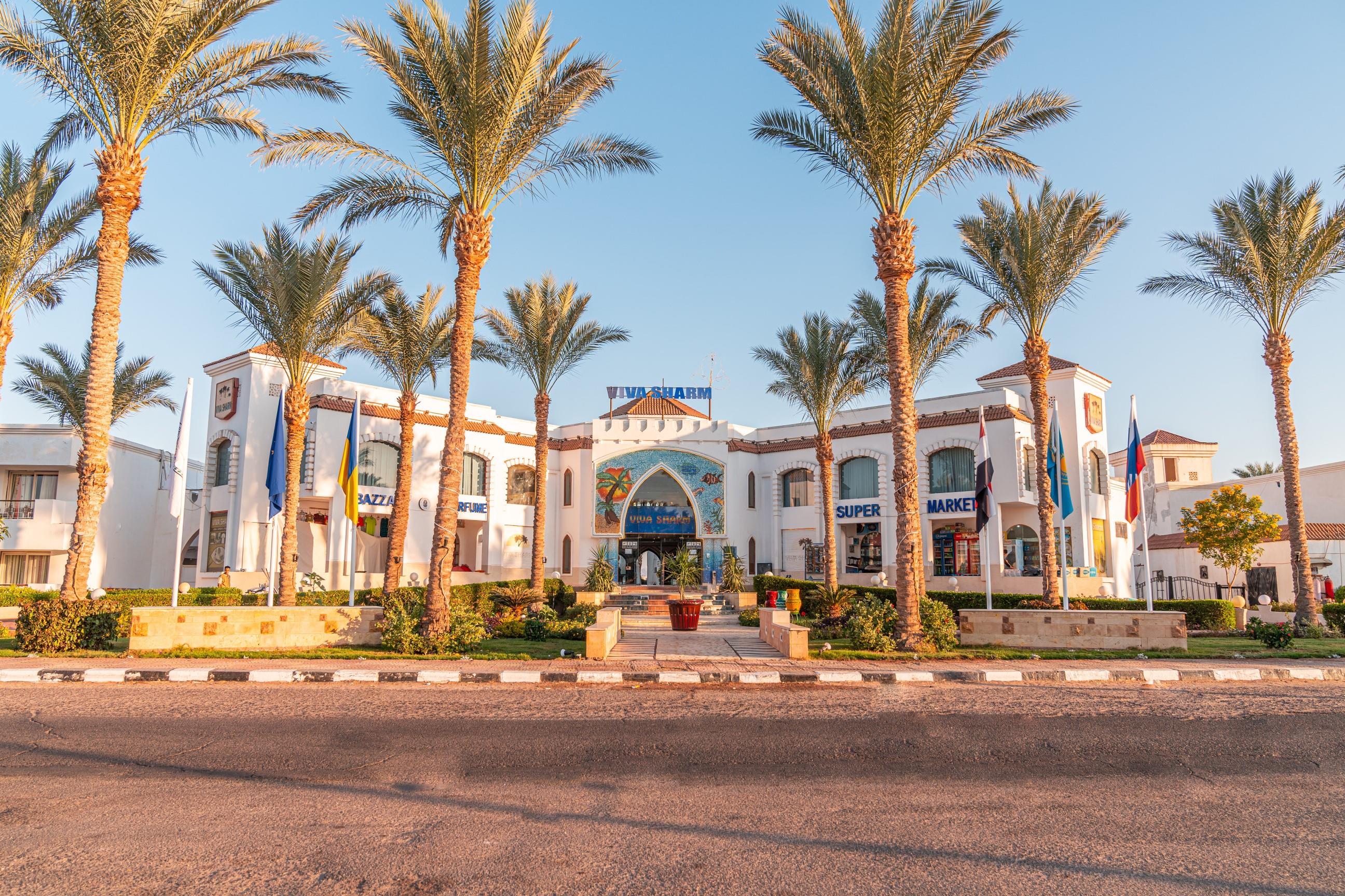 Туры в Viva Sharm Hotel