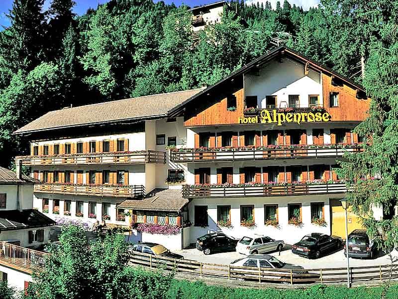Туры в Hotel Alpenrose