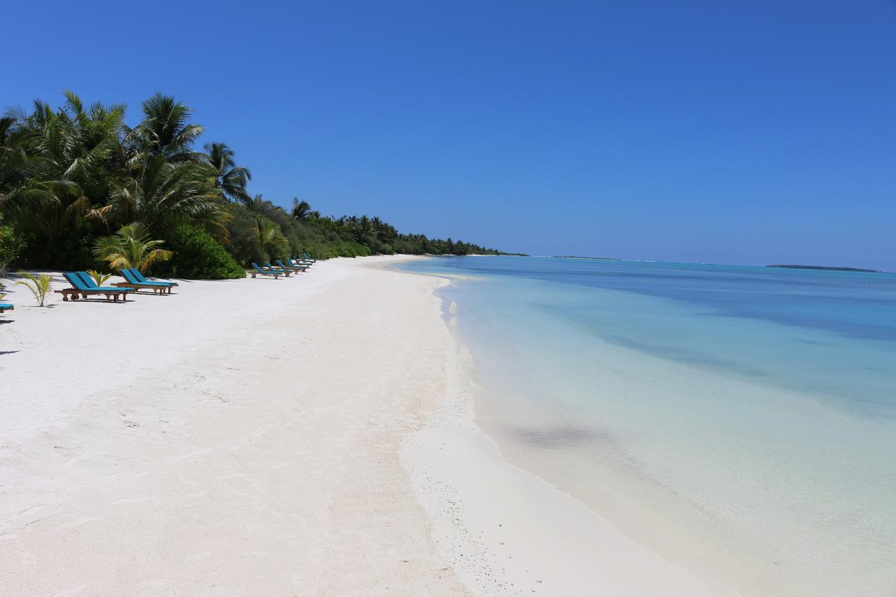 Туры в Canareef Resort Maldives