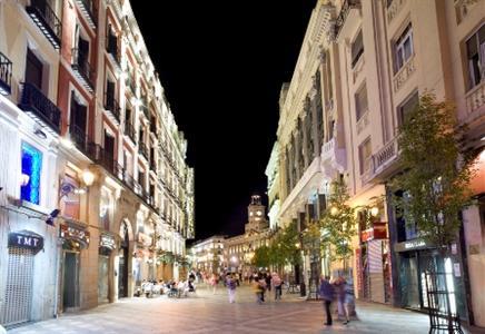 Туры в Petit Palace Puerta del Sol Hotel