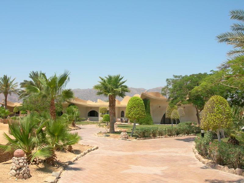 Туры в Coral Resort Nuweiba