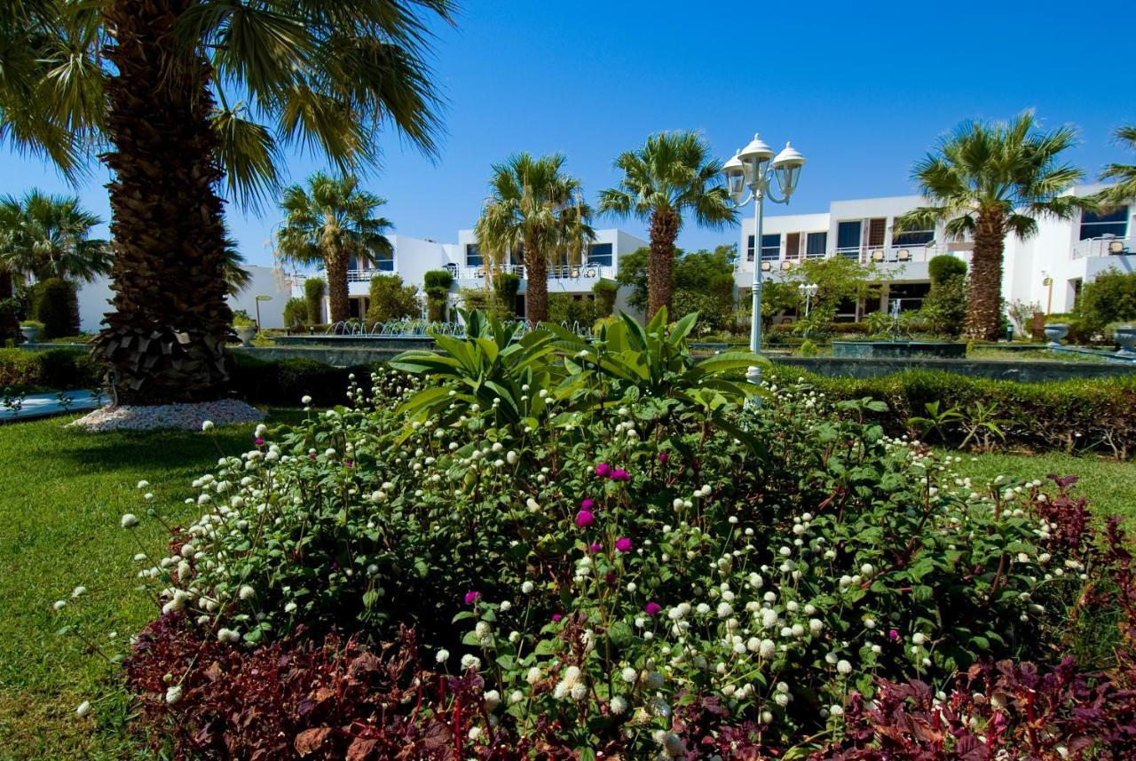 Туры в Maritim Jolie Ville Resort & Casino Naama Bay