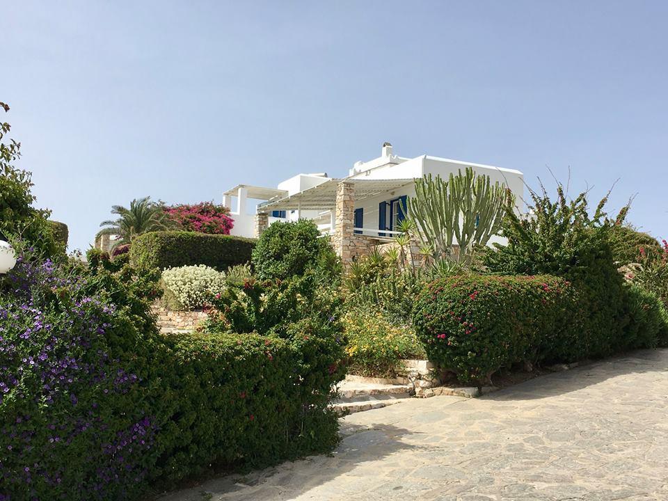 Туры в Paros Agnanti Hotel