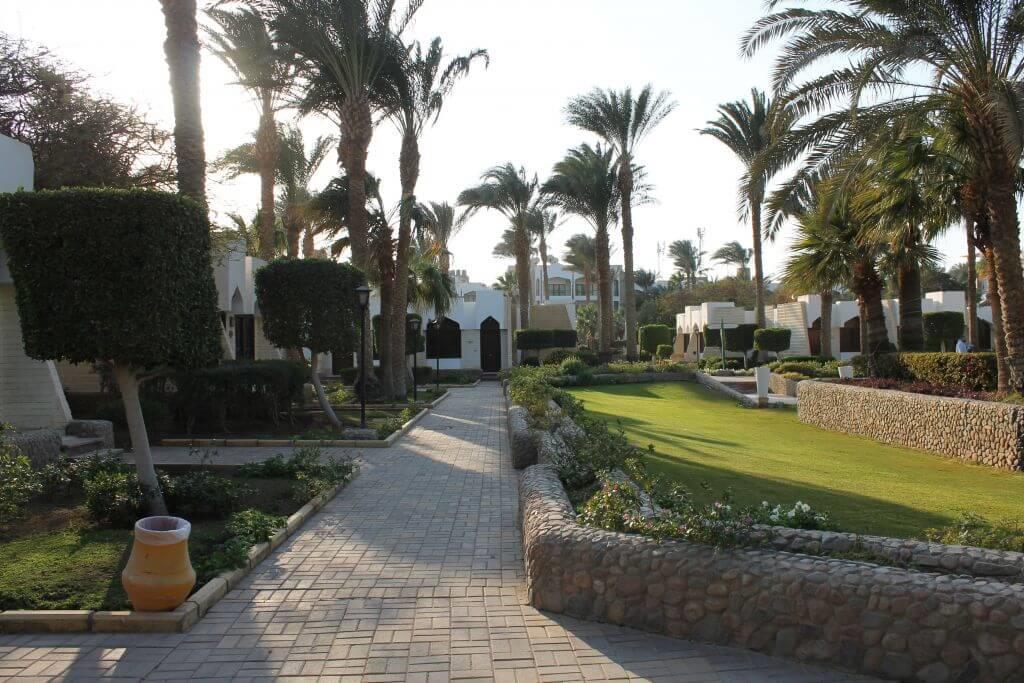 ZYA Regina Resort & Aqua Park Hurghada 4*