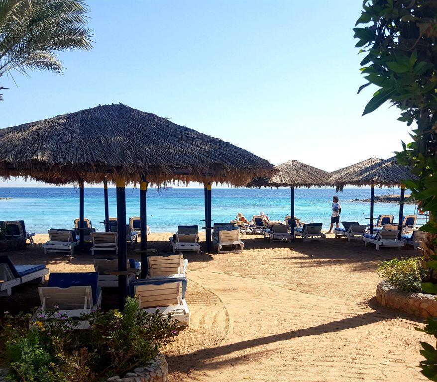 Туры в ZYA Regina Resort & Aqua Park Hurghada