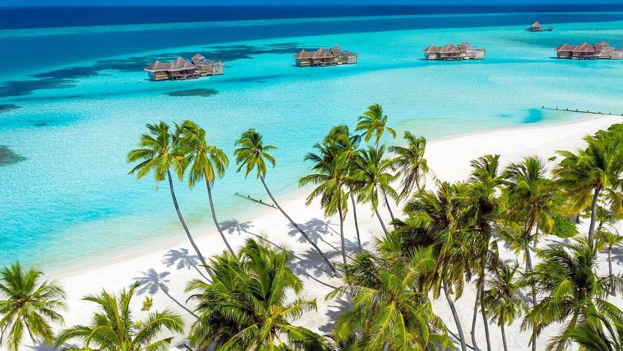 Туры в Gili Lankanfushi Maldives