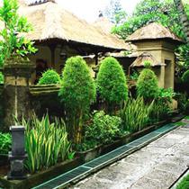 Туры в Bali Agung Village