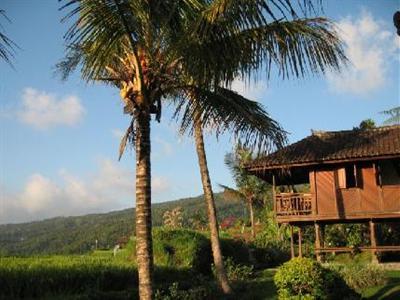 Туры в Puri Lumbung Cottages