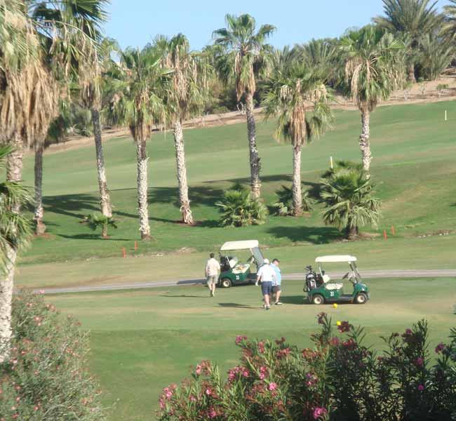 Туры в Villa Mandi Golf Resort