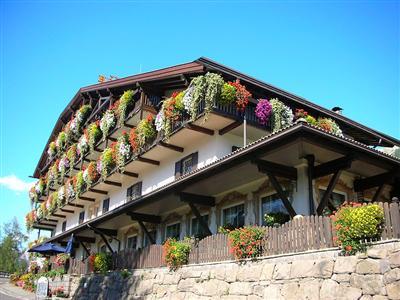 Туры в Belvedere Dolomites Flower Hotel