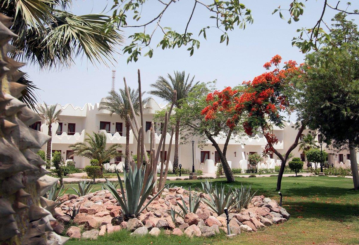 Туры в Swiss Inn Resort Dahab