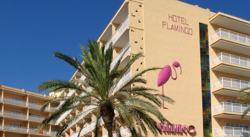 Туры в Flamingo