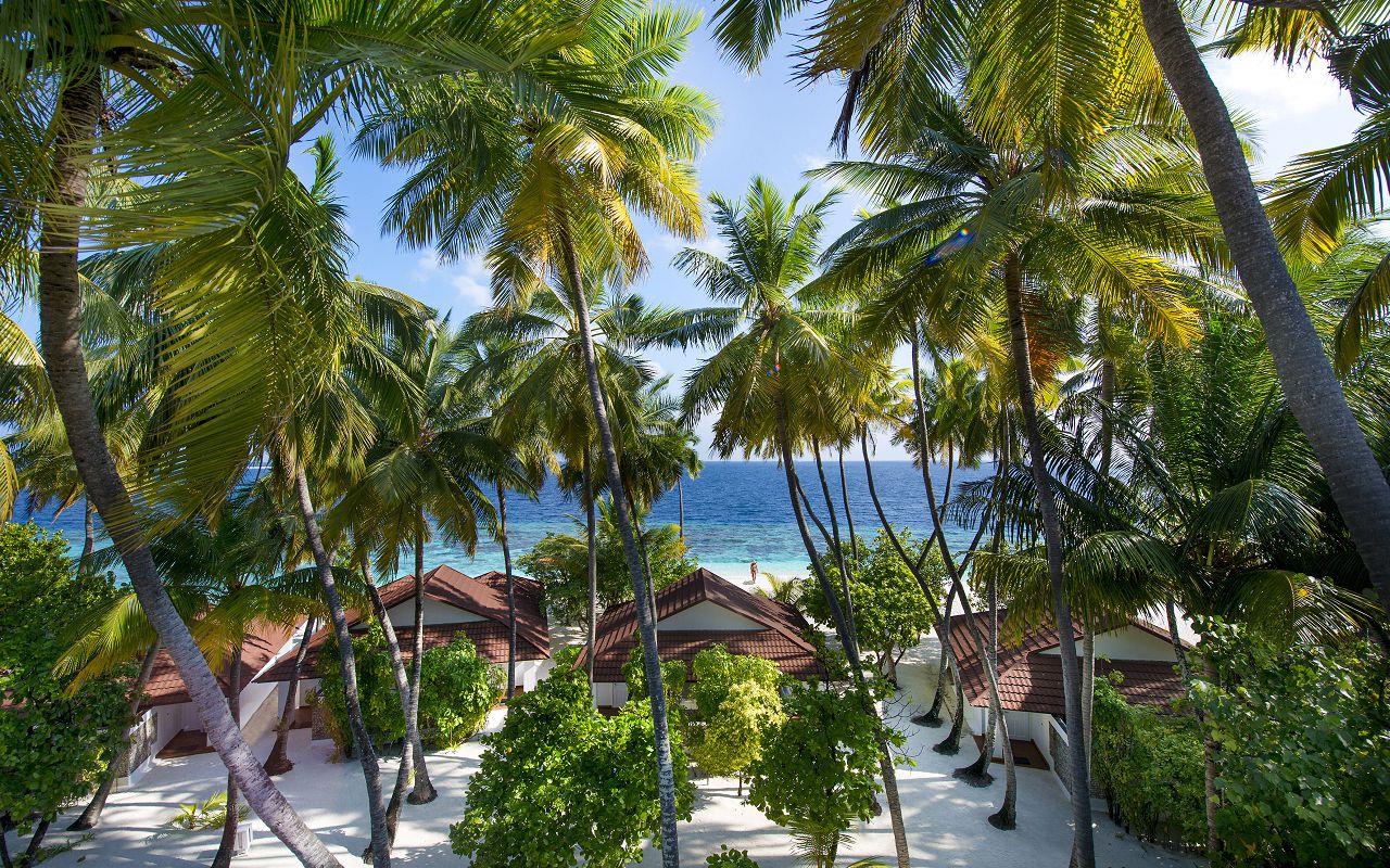 Туры в Diamonds Thudufushi Island