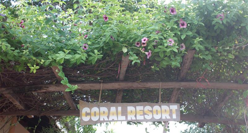 Туры в Coral Resort
