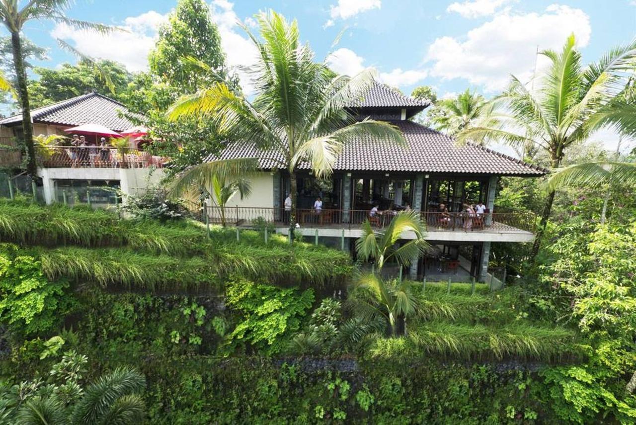 Туры в Ayung Resort Ubud