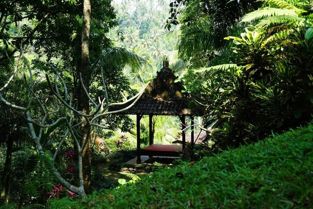 Туры в Ayung Resort Ubud