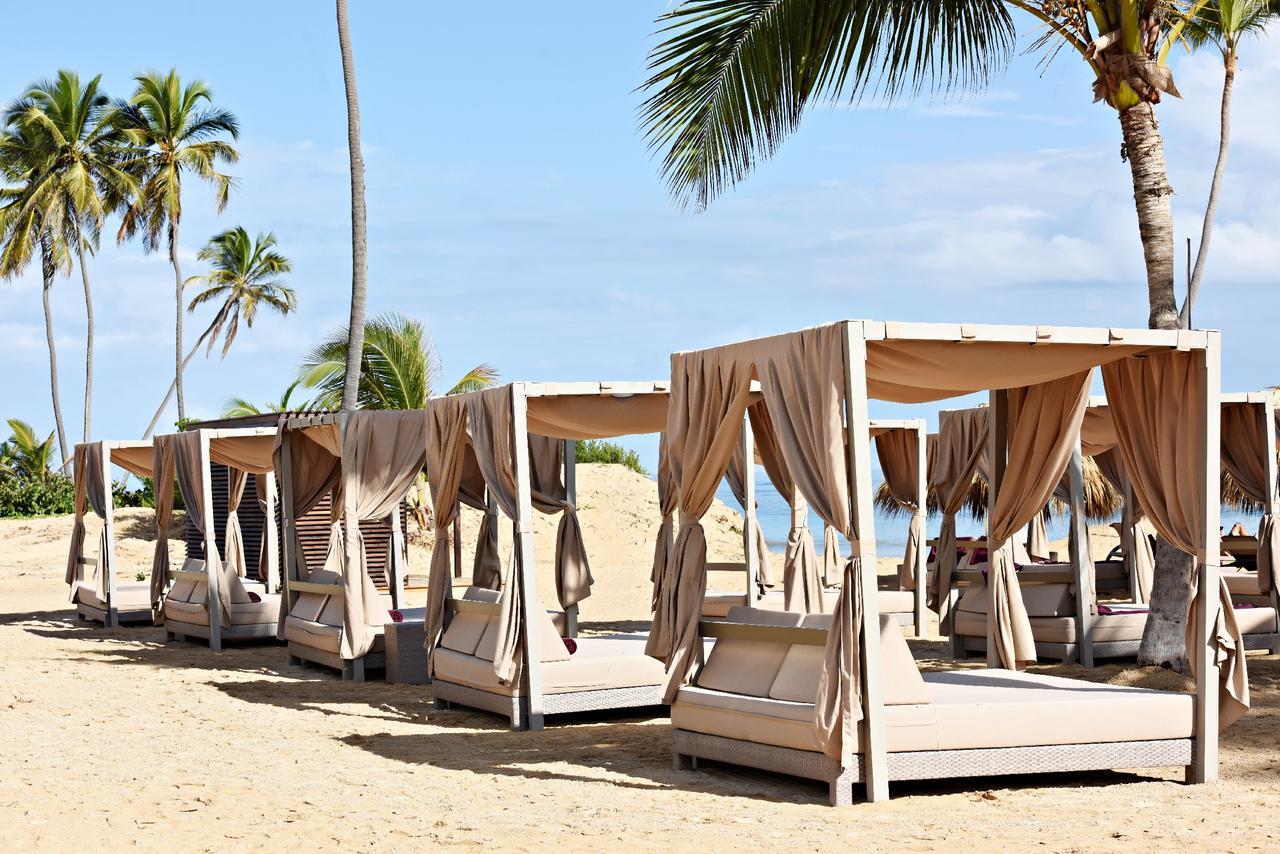 Туры в Royalton CHIC Punta Cana Resort & Spa