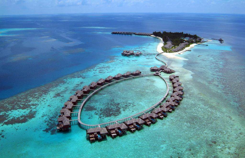 Туры в Coco Bodu Hithi