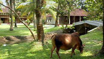 Туры в Coconut Lagoon