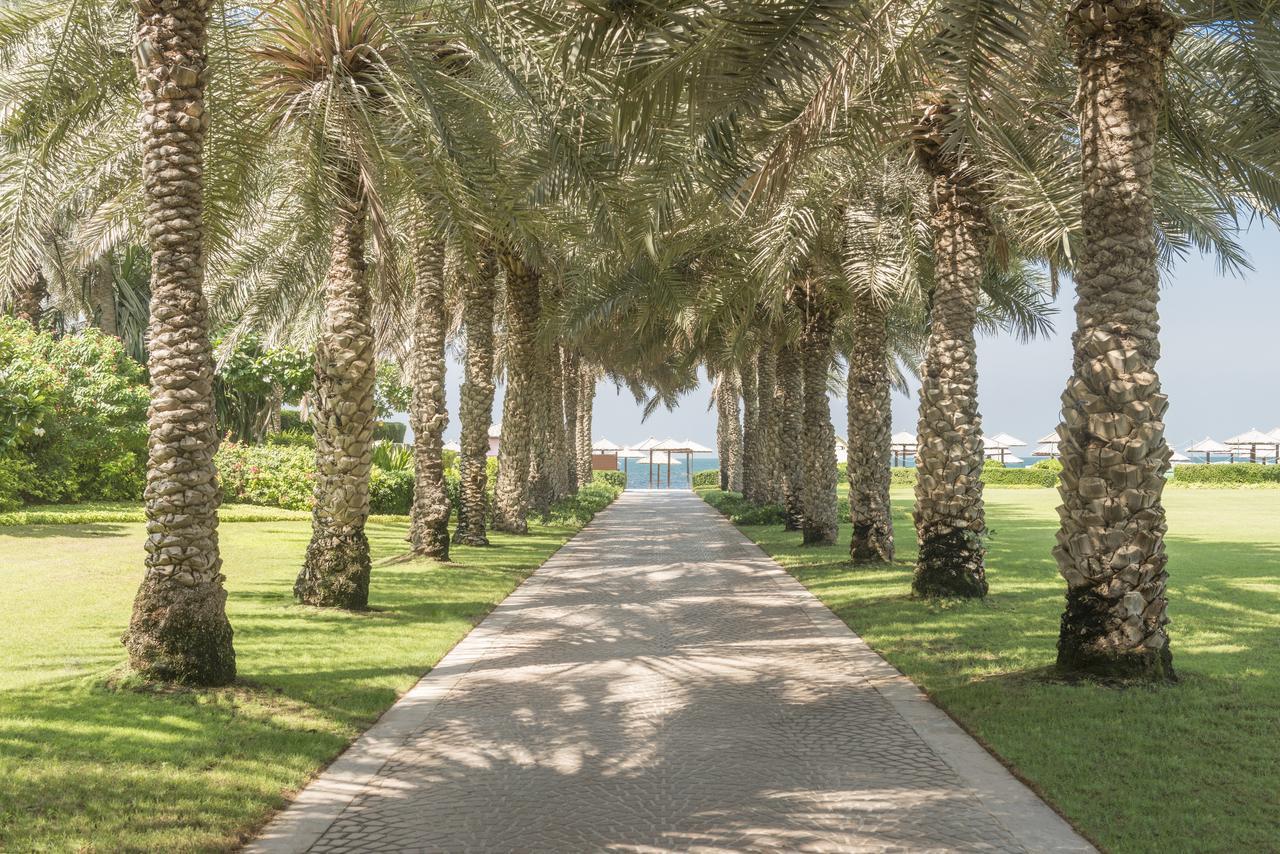 Туры в Coral Beach Resort Sharjah