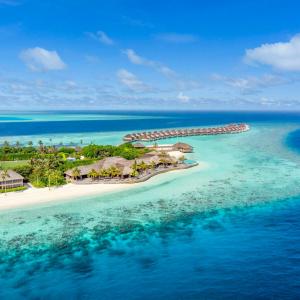 найти туры в отель Хуравали Айленд Ризот отель Hurawalhi Island Resort