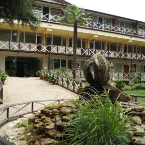 найти туры в отель Отель Пицунда отель Отель Пицунда