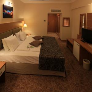 найти туры в отель Дедеман Анкара отель Dedeman Ankara