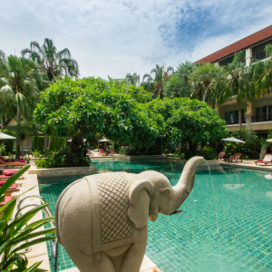 найти туры в отель Дор-Шада Ризот бай Си отель Dor-Shada Resort by the Sea