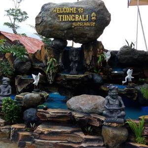 найти туры в отель Тиинг Бали Гест Хаус Адвенчур отель Tiing Bali Guest House Adventure