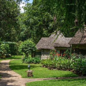 найти туры в отель Arusha Serena Hotel, Resort & Spa отель Arusha Serena Hotel, Resort & Spa