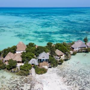 найти туры в отель The Island Pongwe Lodge отель The Island Pongwe Lodge