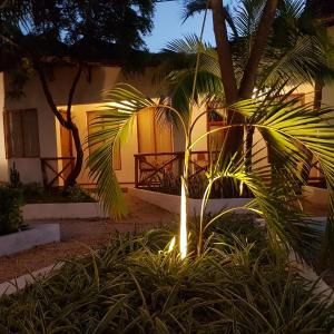 найти туры в отель Babalao отель Babalao