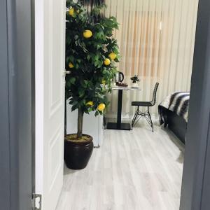 найти туры в отель Istanbul Hotel & Suites отель Istanbul Hotel & Suites