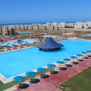 найти туры в отель Толип Норс Кост отель Tolip North Coast