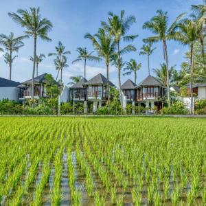 найти туры в отель Джангл Фловер Виллас отель Jungle Flower Villas