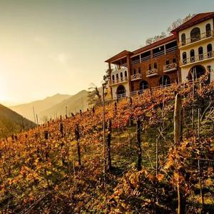 найти туры в отель Hotel Chateau Iveri отель Hotel Chateau Iveri