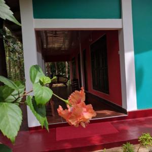 найти туры в отель Palitha Home Stay отель Palitha Home Stay