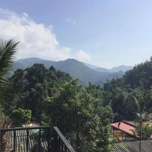 найти туры в отель Forest Guesthouse отель Forest Guesthouse