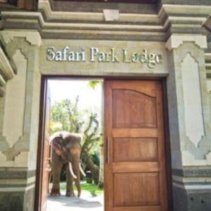 найти туры в отель Mason Elephant Lodge отель Mason Elephant Lodge