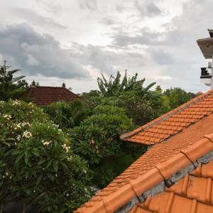 найти туры в отель Pande Homestay отель Pande Homestay