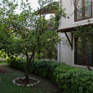 найти туры в отель Mr. Dim Exclusive Apart Hotel отель Mr. Dim Exclusive Apart Hotel